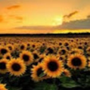 Meet your Posher, Cody-rae